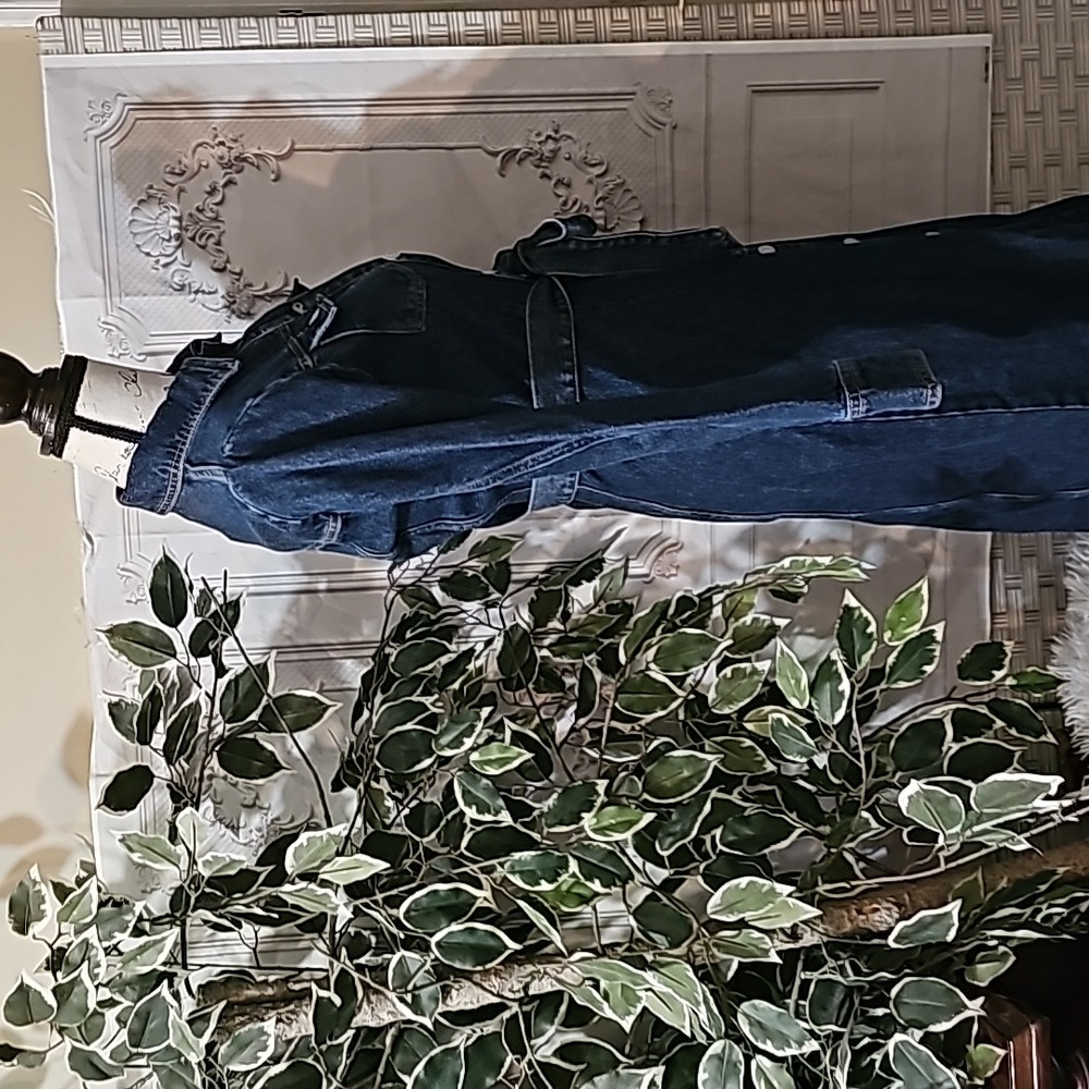 Zara Belted Button Front Denim Dress XS - Picture 7 of 15